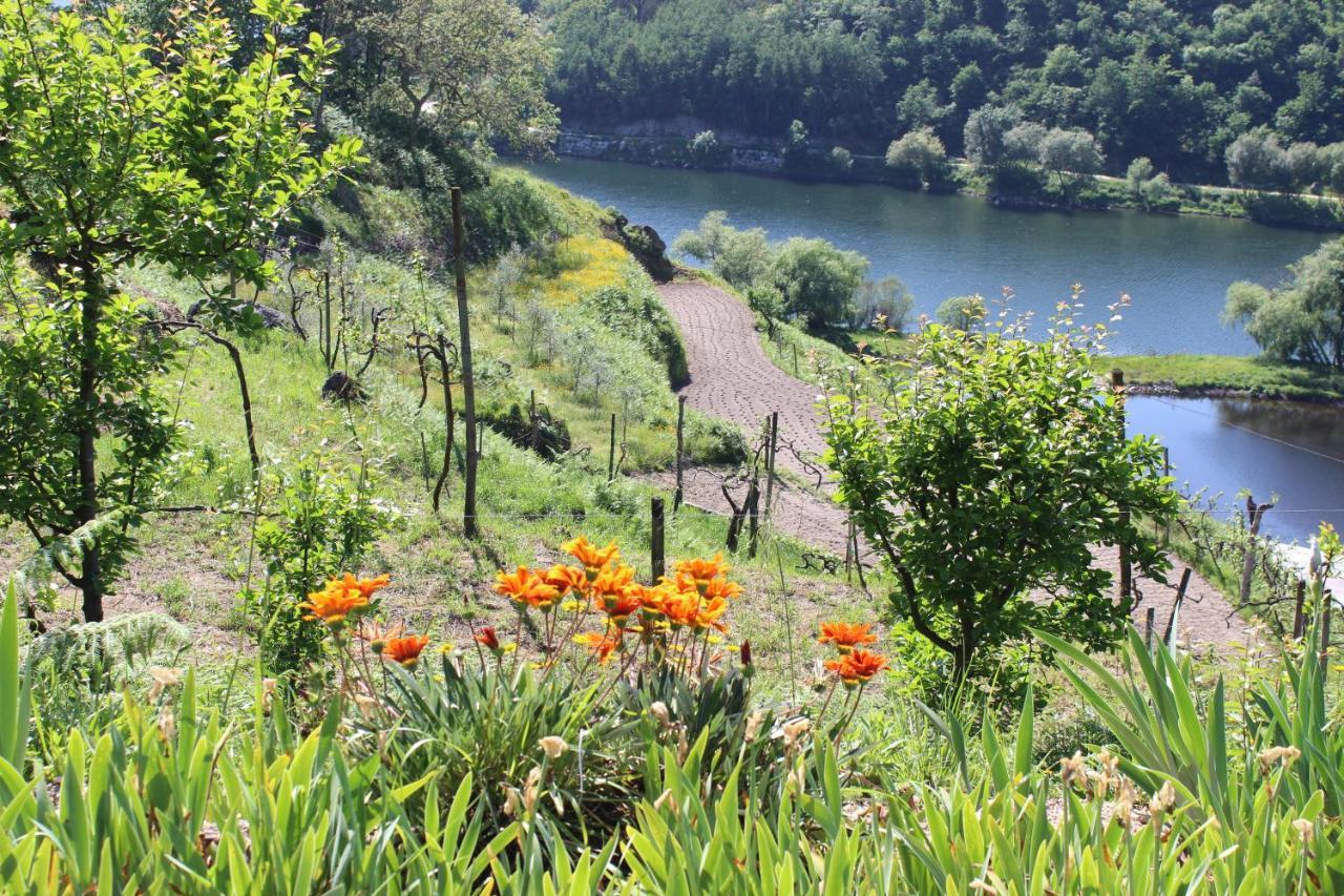 "Bouca Drigues" Casa Antiga De Pedra Com Piscina E Vista Rio Villa Amarante Luaran gambar