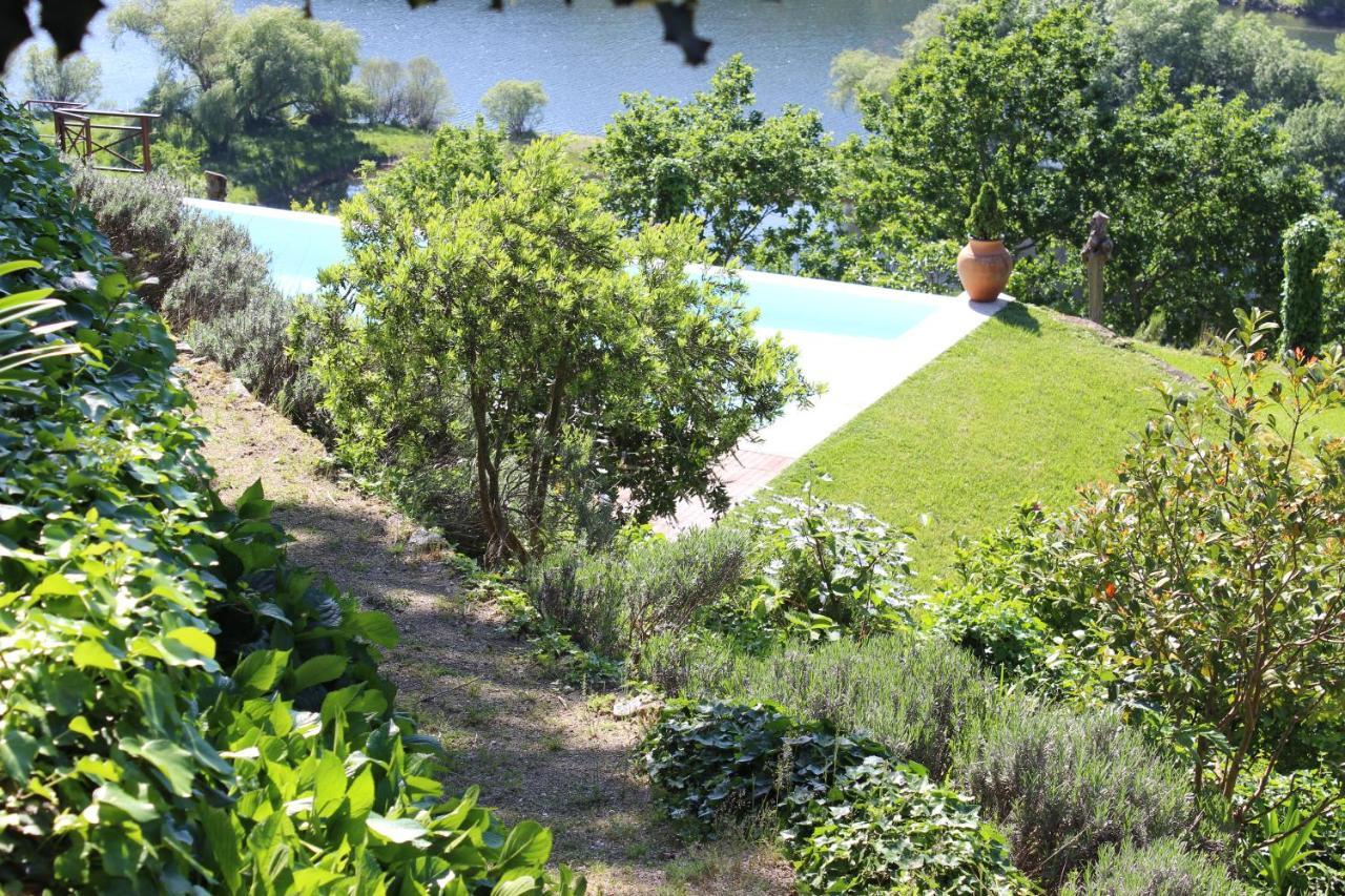 "Bouca Drigues" Casa Antiga De Pedra Com Piscina E Vista Rio Villa Amarante Luaran gambar